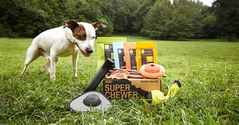 bark box metal themes|barkbox super chewer toys.